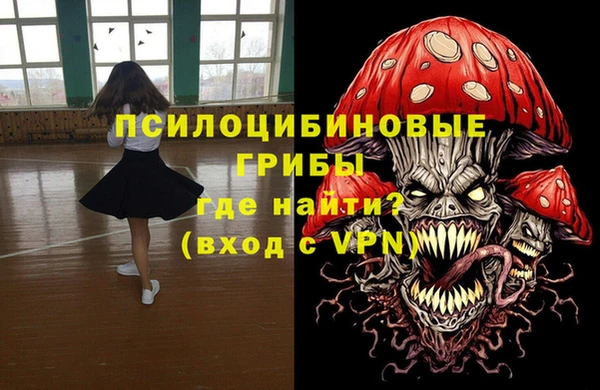 прущие крисы Абаза