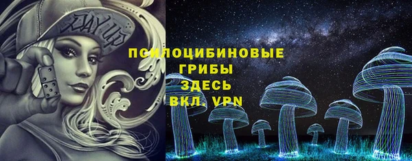 прущие крисы Абаза