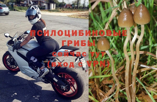 тгк Липки