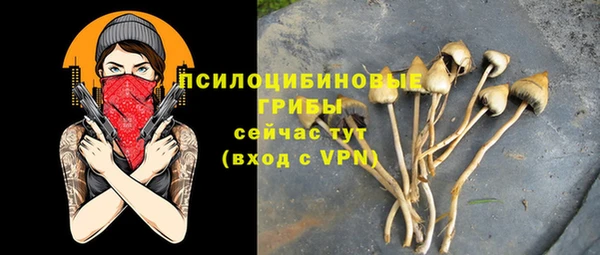 тгк Липки