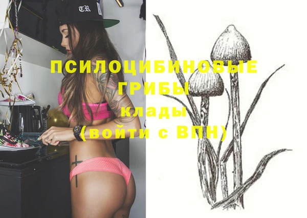 прущие крисы Абаза